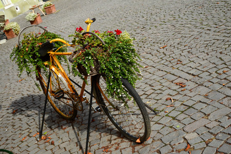 an old bicycle with flower pots and flowers in the Romanian city of Sighisoara in the squareの写真素材