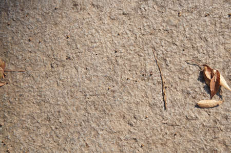 Ground in Dongdamunの写真素材