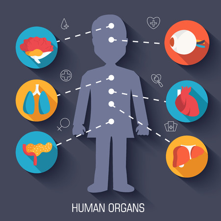 set flat human organs icons illustration infographic concept. Vector background designのイラスト素材