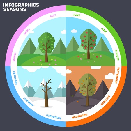 12 Months of the Year. Weather year information set. Seasons banners. Infographic concept background. Layout illustrations template pages with typography text.のイラスト素材