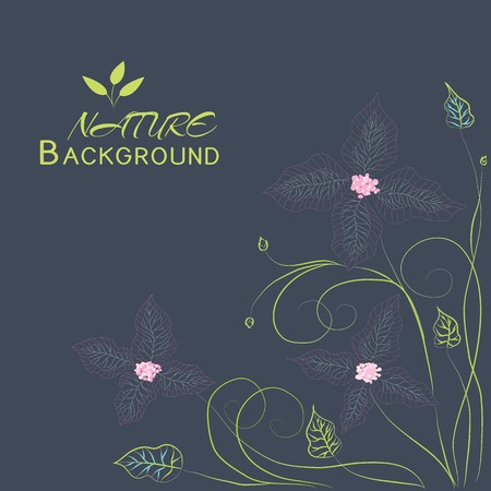 floral nature background concept. Vector illustrationのイラスト素材