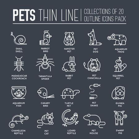 Animal flat thin line illustration icons set. Outline cute home pets on isolated background....
