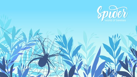 A spider weaves a web in the grass. Life of insects in the wild illustration. Beauty acro worldのイラスト素材