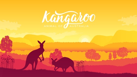 Australia kangaroo on landscape nature background. Wild animals in their natural habitat. Sunrise vector illustrationのイラスト素材