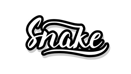 Snake calligraphy template text for your design illustration concept. Handwritten lettering title vector words on white isolatedのイラスト素材