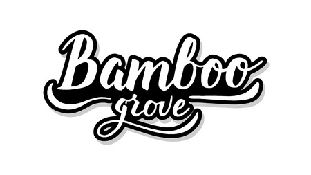 Bamboo calligraphy template text for your design illustration concept. Handwritten lettering title vector words on white isolatedのイラスト素材