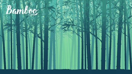 Bamboo forest in the morning. Forest at Arashiyama, Kyoto,Japan. Lanscape of bamboo tree in tropical rainforest, Malaysia. Template land page wallapapers design conceptのイラスト素材