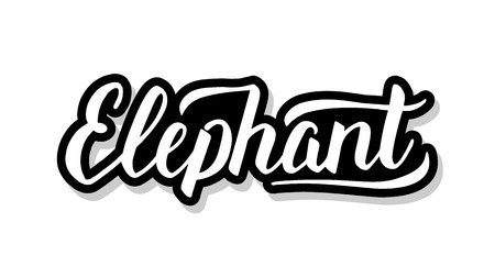 Elephant calligraphy template text for your design illustration concept. Handwritten lettering title vector words on white isolatedのイラスト素材
