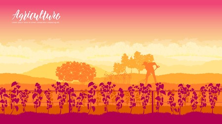 Raised beds for vegetable gardening brochure cards set. Timber planters nature template land page wallapapers design concept. Vegetables to Grow layout modernのイラスト素材
