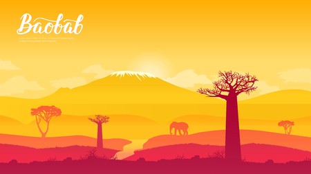 baobab tree in Namibia, Africa land page wallapapers design concept. Sunrise over the savanna and grass fields in central Kruger National Park in South Africaのイラスト素材