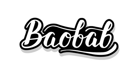 Baobab calligraphy template text for your design illustration concept. Handwritten lettering title vector words on white isolatedのイラスト素材