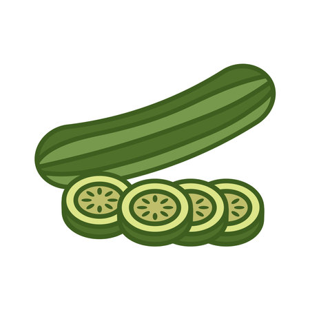 cucumber icon vector design template in white backgroundのイラスト素材