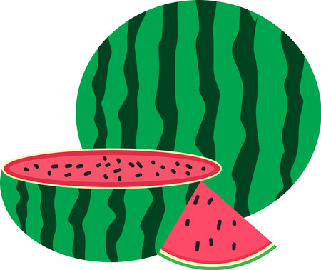 Set of watermelon slice vector illustrationsのイラスト素材