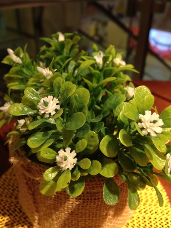 Green lifeの素材