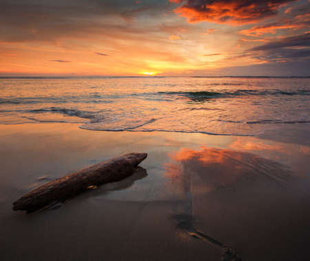 wooden stick on the beach at sunset timeの写真素材