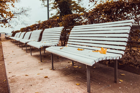 Bench in autumn parkの写真素材