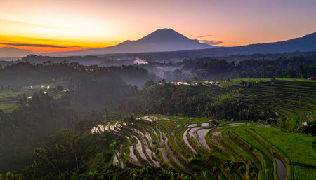 Sunrise over rice terraces in Bali, Indonesia. Bali is one of the most popular tourist destinations in Indonesia.の素材