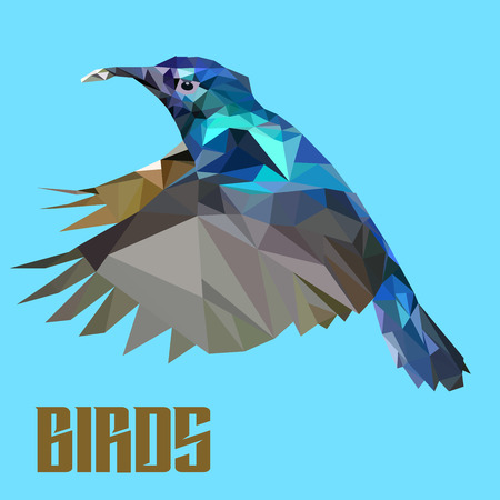 image birdsのイラスト素材