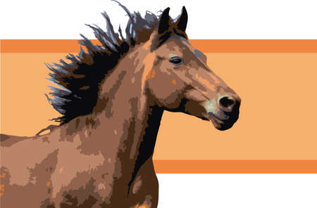horse badgeの写真素材