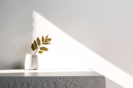 Photo concrete wall empty room with plants on a floor Minimal summer exotic concept with copy space, Generative AI.の素材