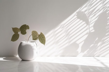 Photo concrete wall empty room with plants on a floor Minimal summer exotic concept with copy space, Generative AI.の素材