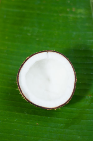 halfs of coconut  on background with shadow