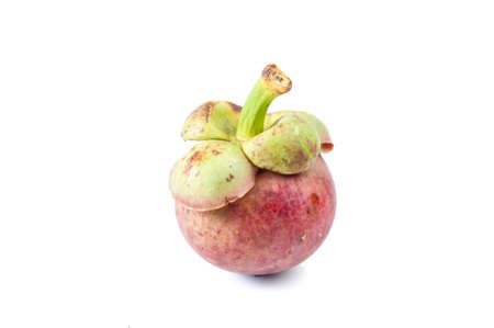 Mangosteen fruit. flesh queen of fruitsの写真素材