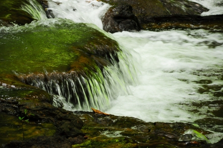Green forest and beautiful waterfallsの写真素材