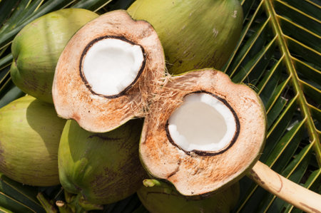 Fresh coconut on coconut leaves