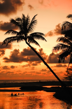 Silhouettes of coconut trees and beautiful skyの写真素材