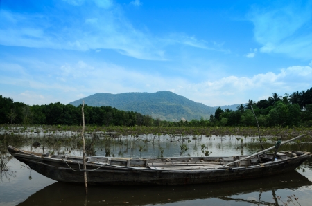 Mangrove plantings and boats  Blue sky の写真素材