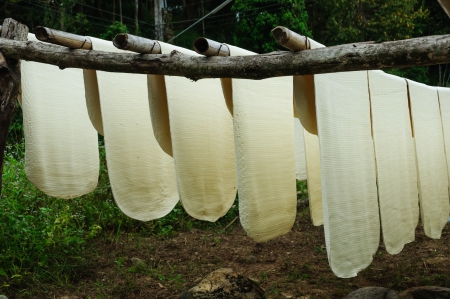 Rubber の写真素材