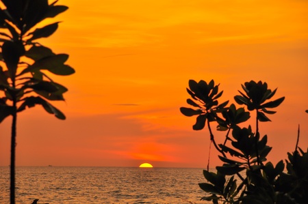 Sunste at beach and the evening sky の写真素材