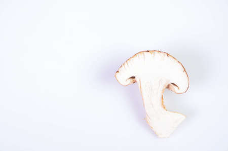 fresh mushroom champignon isolated on white backgroundの写真素材