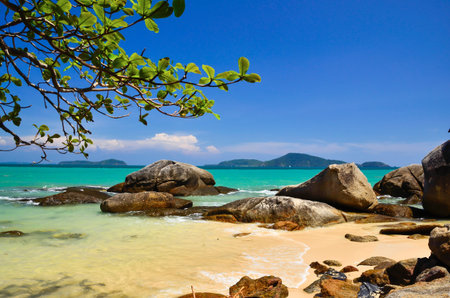 Trees rocks sea and a beautiful blue skyの写真素材