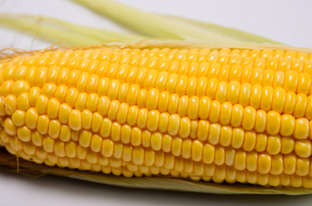 Fresh corn cobs