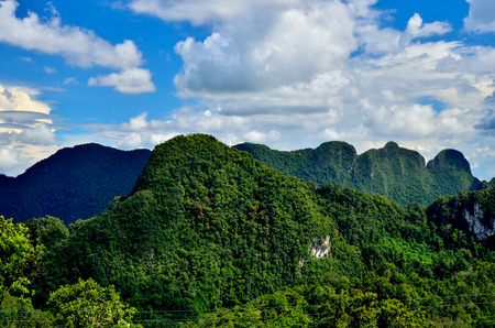 road in forestの写真素材