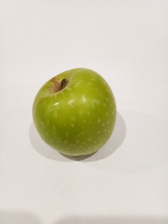 Green Appleの写真素材