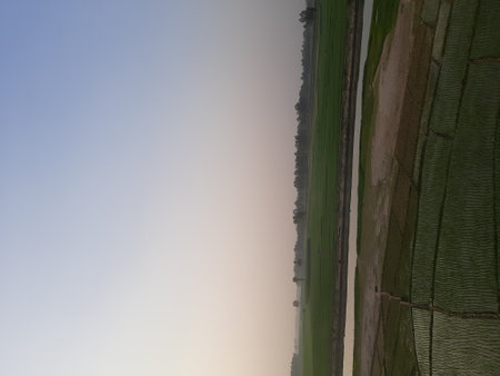 The landscape of the field in the morning, closeup of photoの写真素材