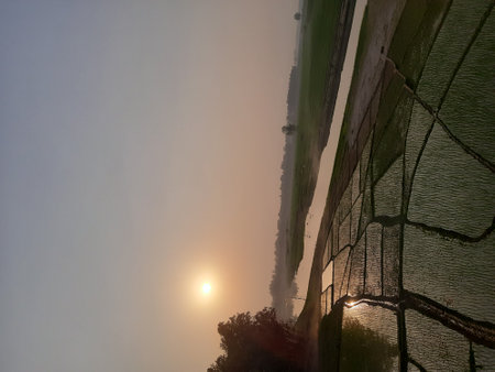 Sunrise in the morning with fog and clouds, closeup of photoの写真素材