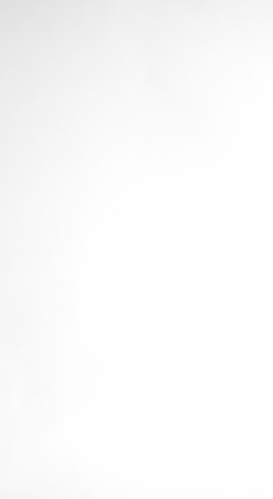 White color backgroundの写真素材