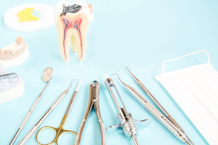 porsthodontic model and dentist tool - demonstration teeth model of varities of porsthodontic...