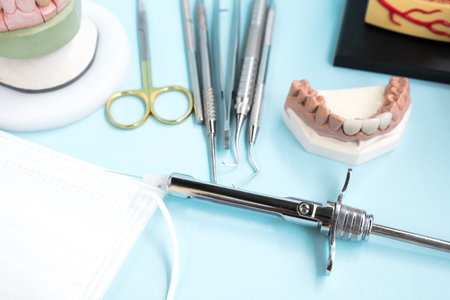 porsthodontic model and dentist tool - demonstration teeth model of varities of porsthodontic...