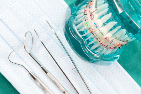 orthodontic model and dentist tool - demonstration teeth model of varities of orthodontic bracket or braceの写真素材