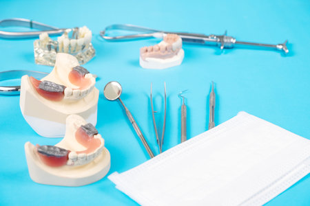 orthodontic model and dentist tool - demonstration teeth model of varities of orthodontic bracket or...