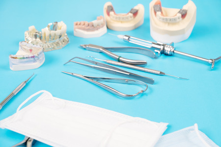orthodontic model and dentist tool - demonstration teeth model of varities of orthodontic bracket or braceの写真素材