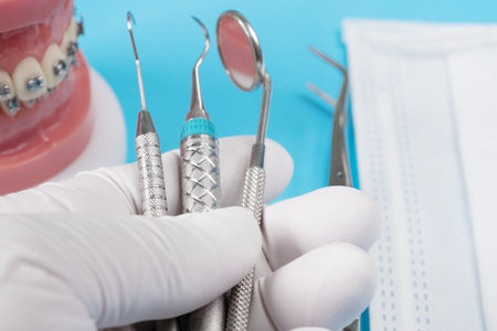 orthodontic model and dentist tool - demonstration teeth model of varities of orthodontic bracket or...