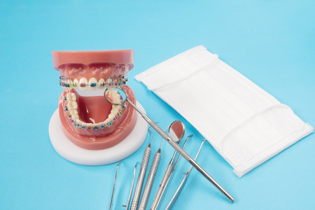 orthodontic model and dentist tool - demonstration teeth model of varities of orthodontic bracket or braceの写真素材