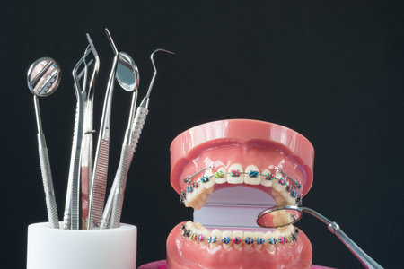 orthodontic model and dentist tool - demonstration teeth model of varities of orthodontic bracket or...