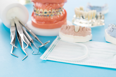 orthodontic model and dentist tool - demonstration teeth model of varities of orthodontic bracket or braceの写真素材